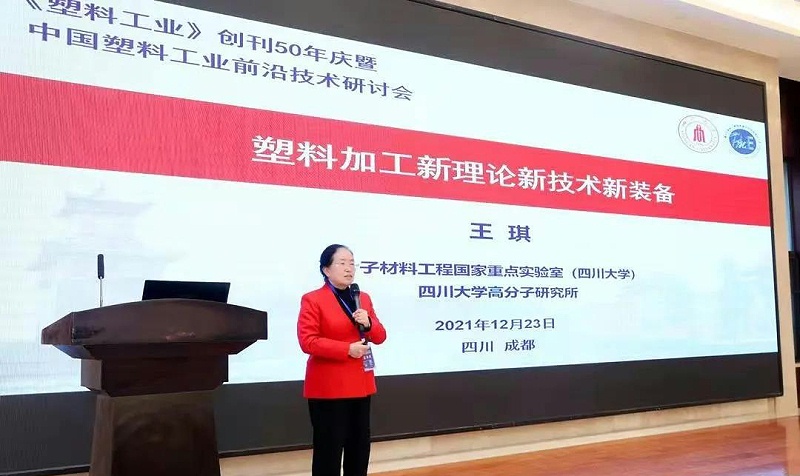 王琪院士作報告