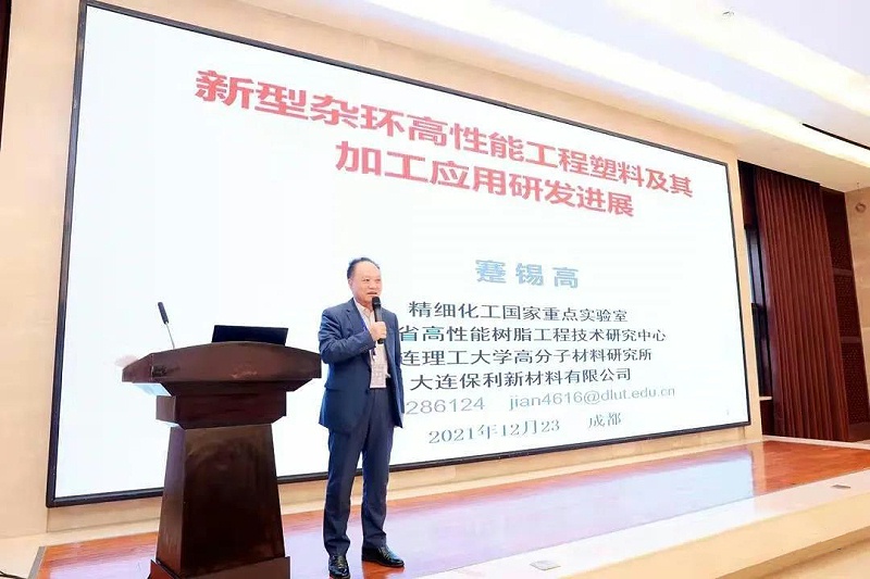 蹇錫高院士作報告